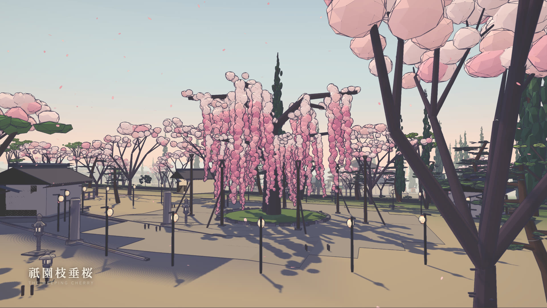 the weeping cherry