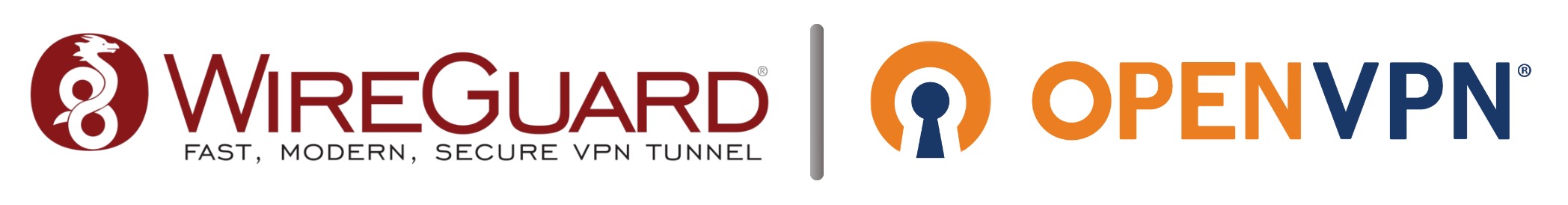 WireGuard + OpenVPN logo