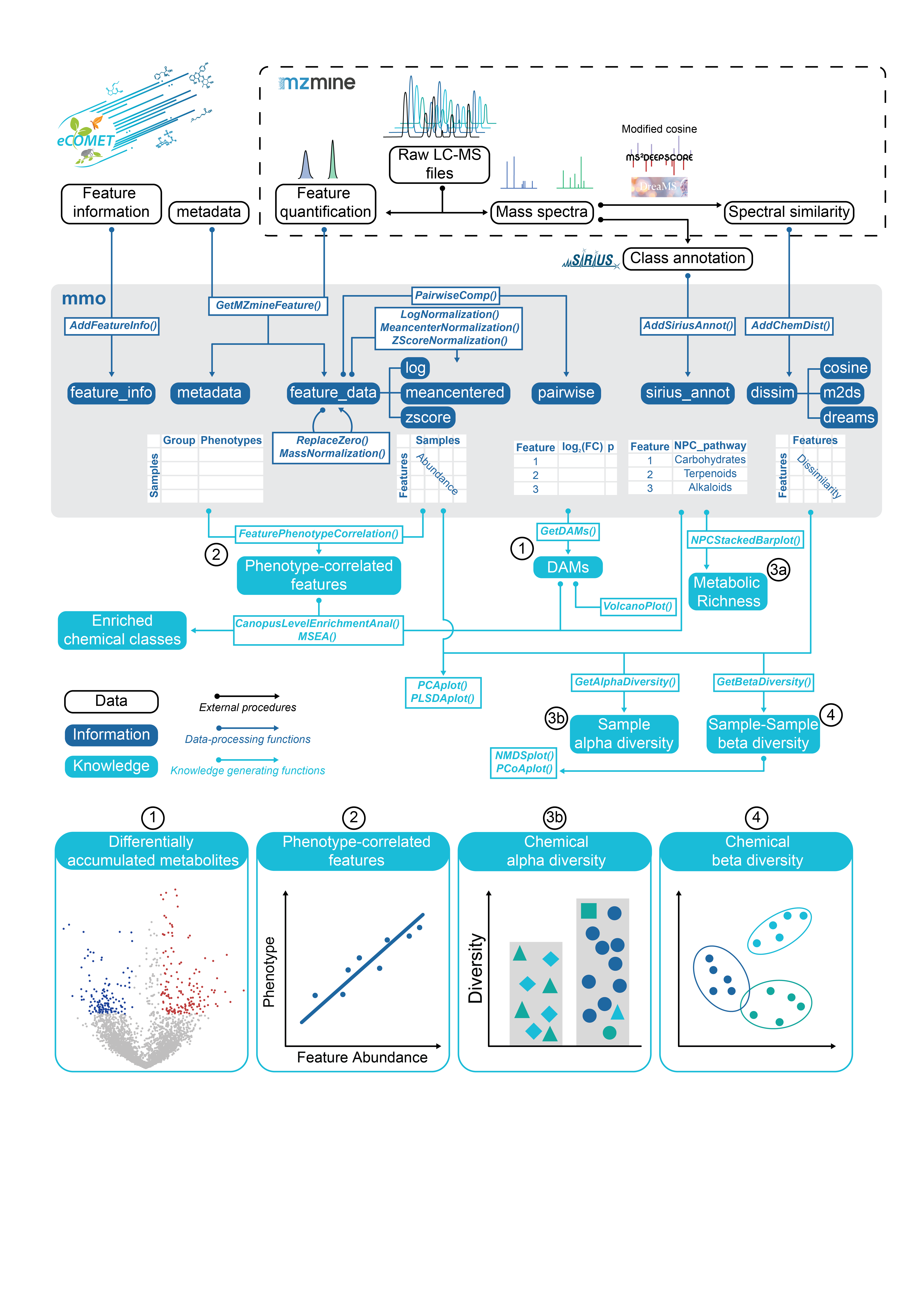 eCOMET workflow overview
