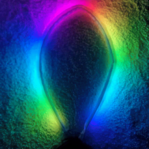 LanLight