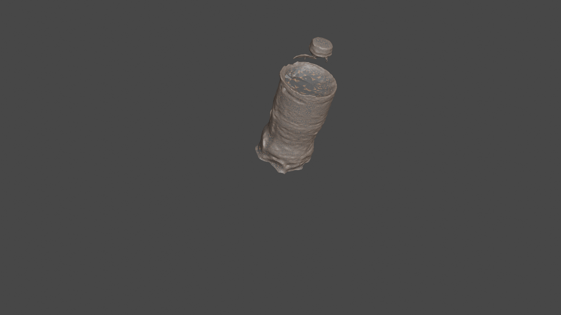 3D model with texture