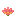 Cactus Flower