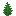 Fern