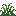 Dew