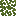 Baobab