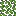 Birch