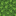 Birch