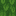 Palm