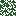 Pine