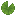 Lily Pad