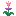 Lumiflora