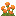 Marigold