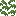 Moss