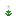 Trumpet Lily