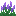 Vetch