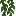 Mahogany