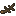 Pine