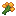 Dandelions
