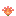 Cactus Flower