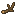 Oak