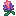 Lumiflora