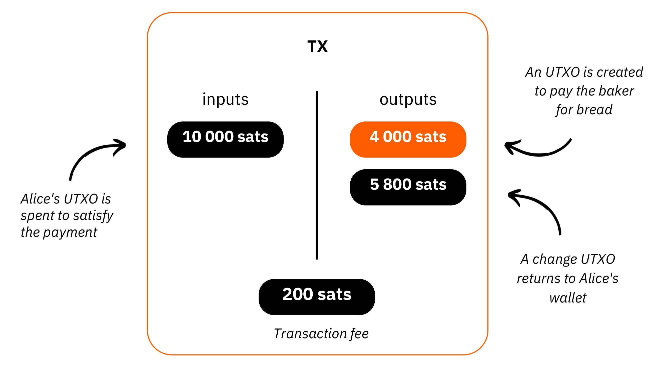 BTC204