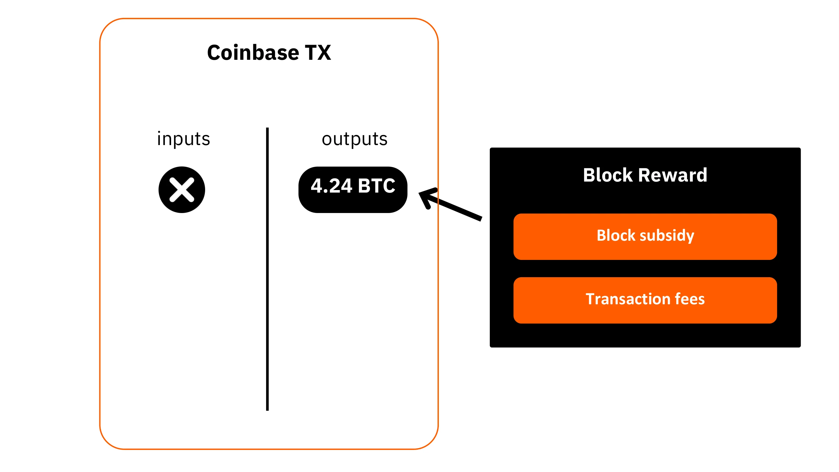BTC204