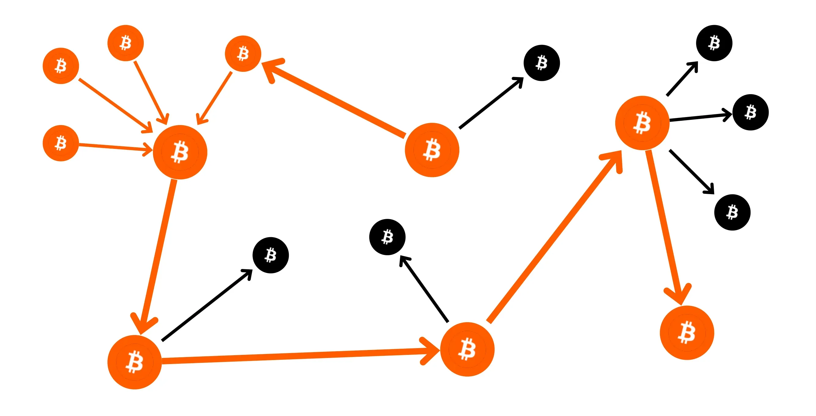 BTC204