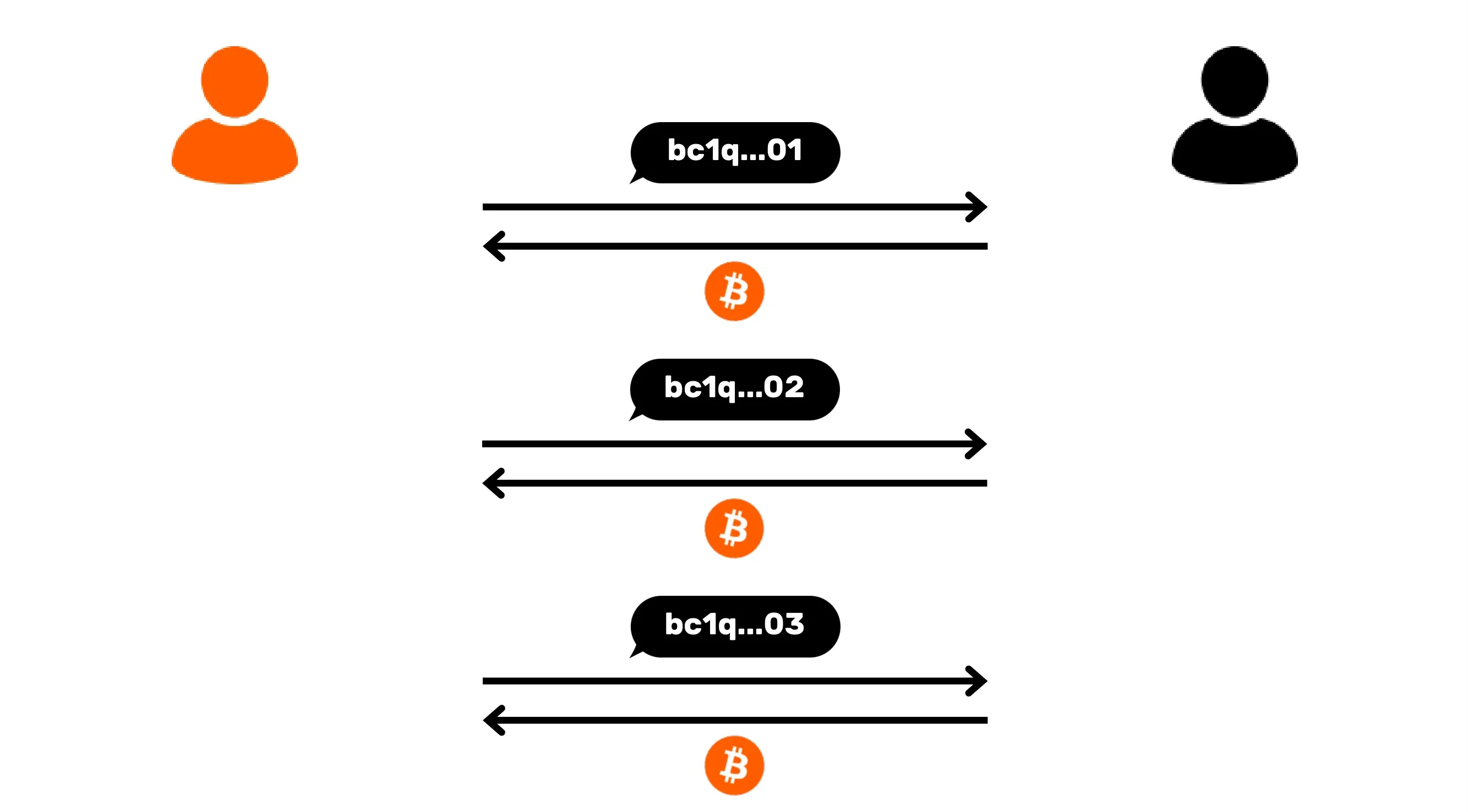BTC204