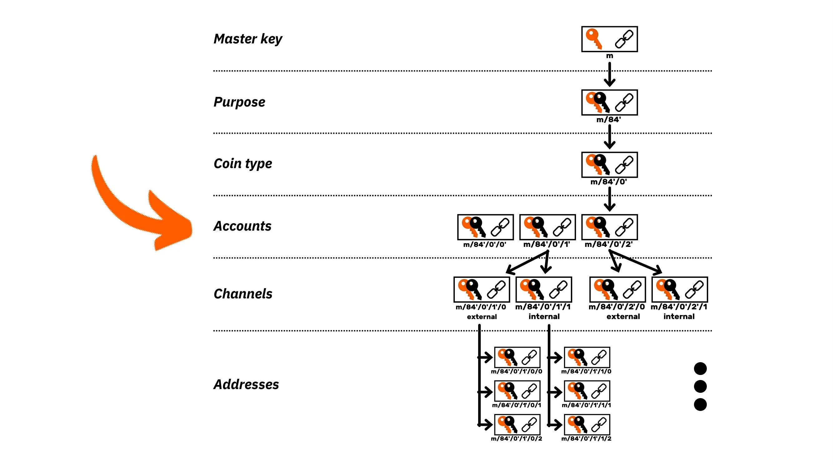 BTC204