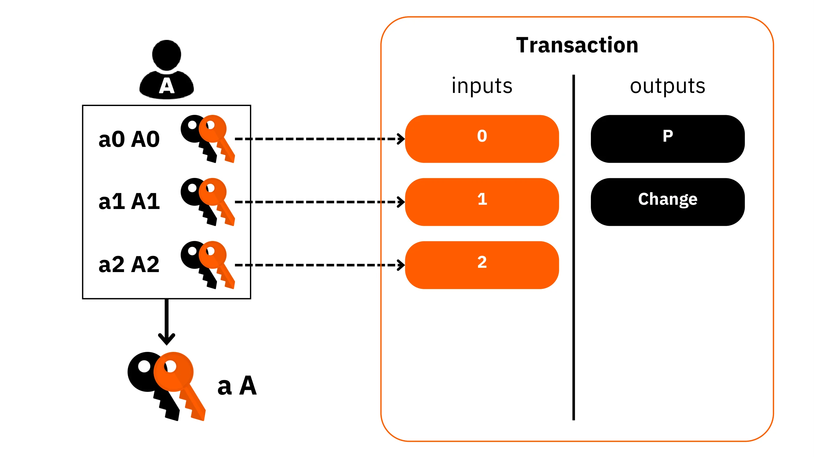 BTC204