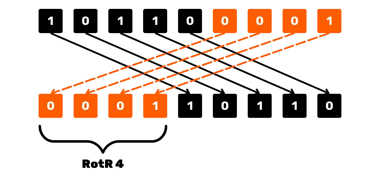 CYP201