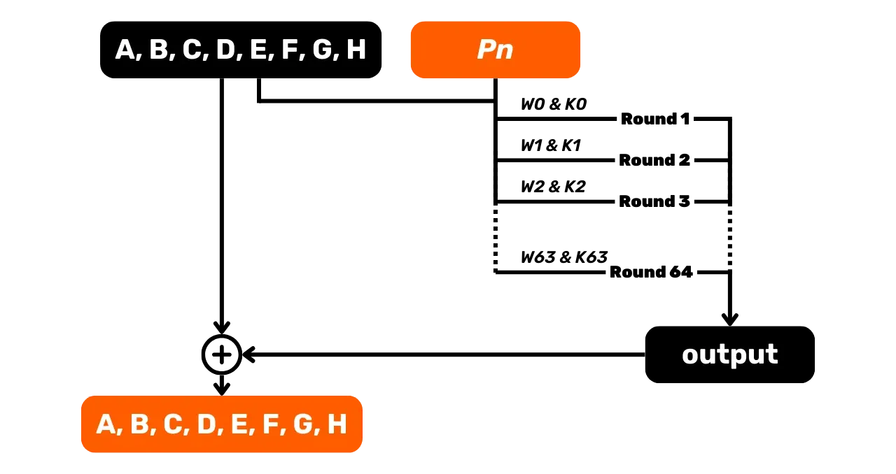CYP201
