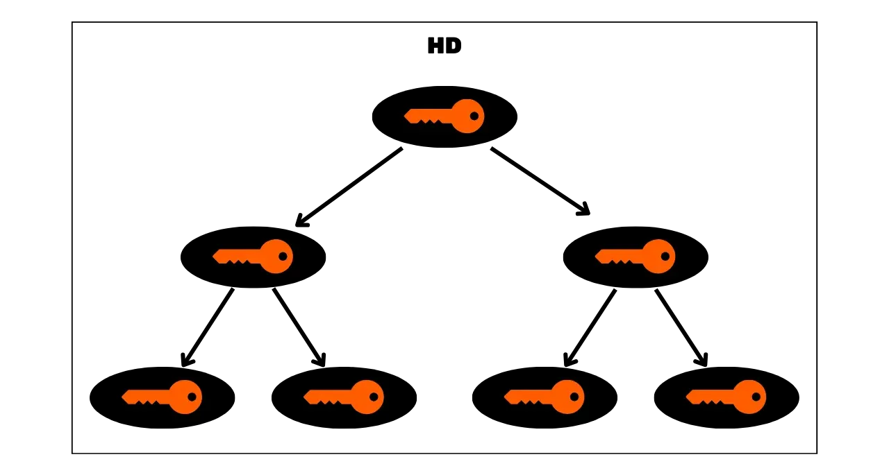 CYP201