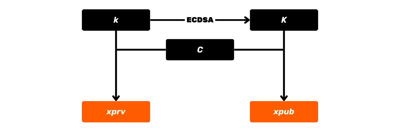 CYP201