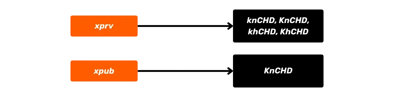 CYP201