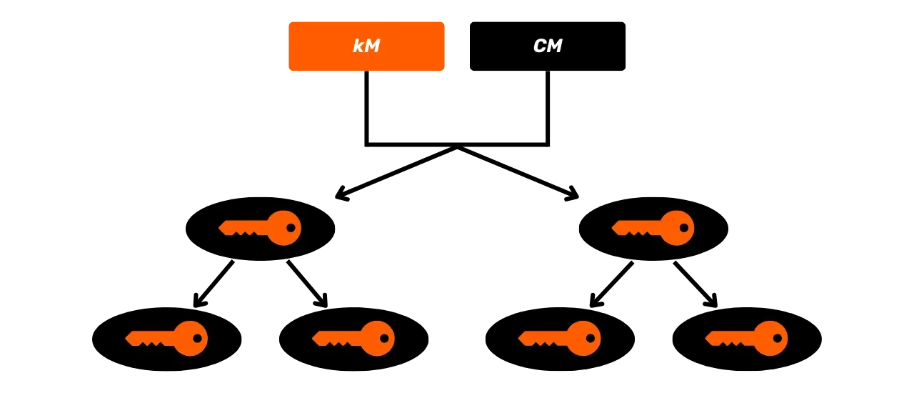 CYP201