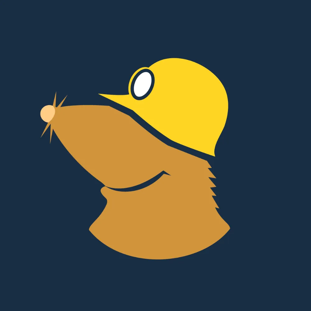 Mullvad VPN