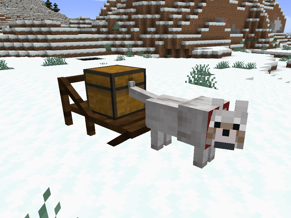 Dogsled with Dog