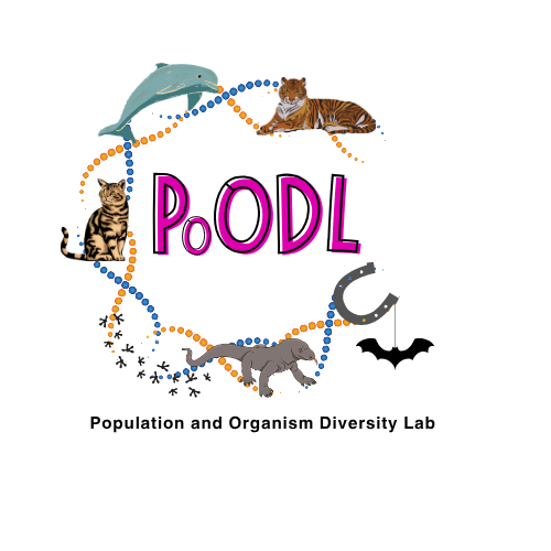 PoODL