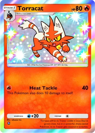 Torracat