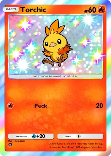 Torchic