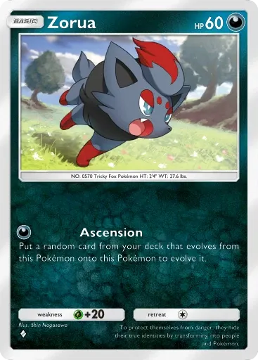 Zorua