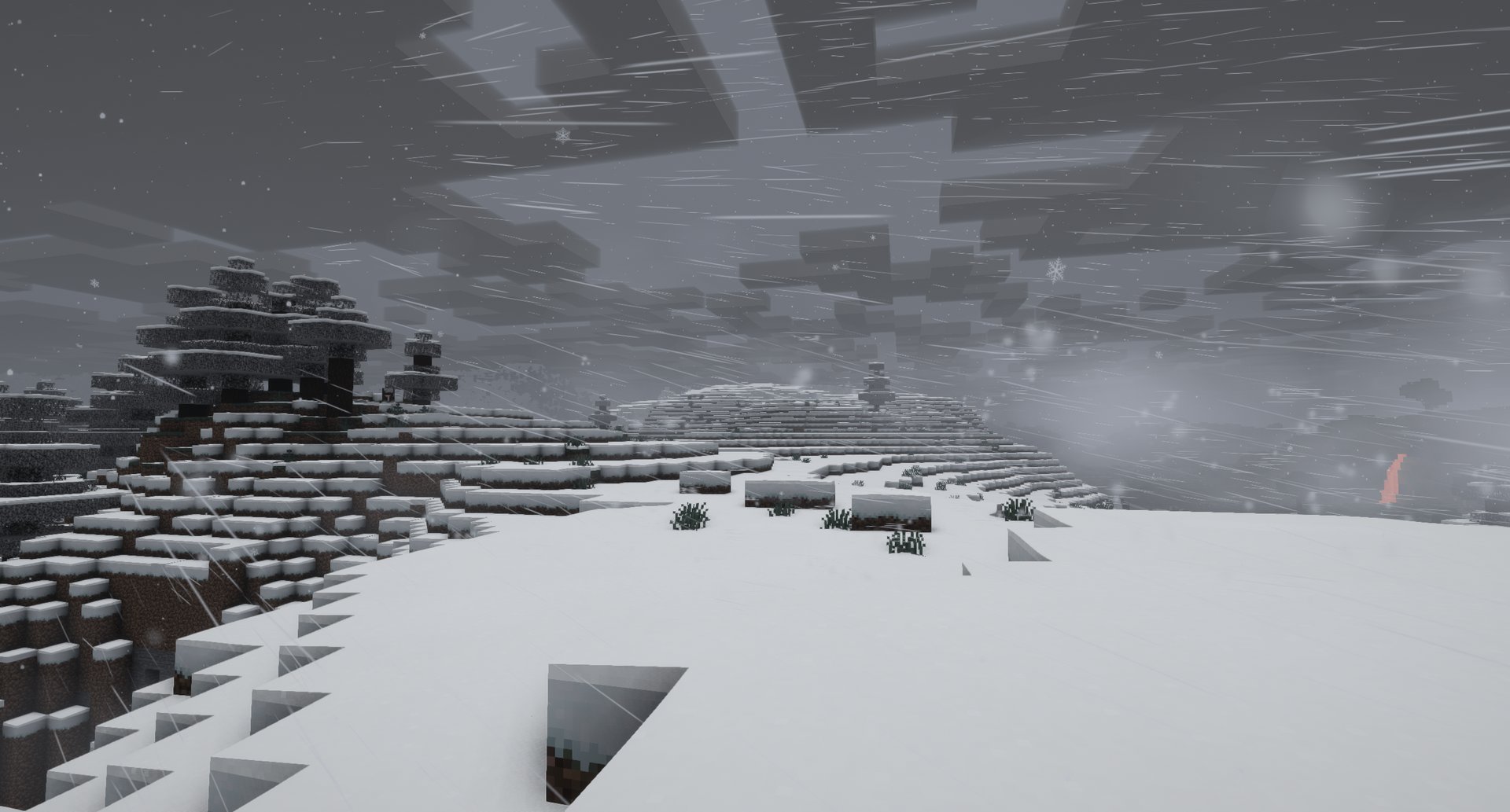 A blizzard in the snowy taiga with Hoarfrost