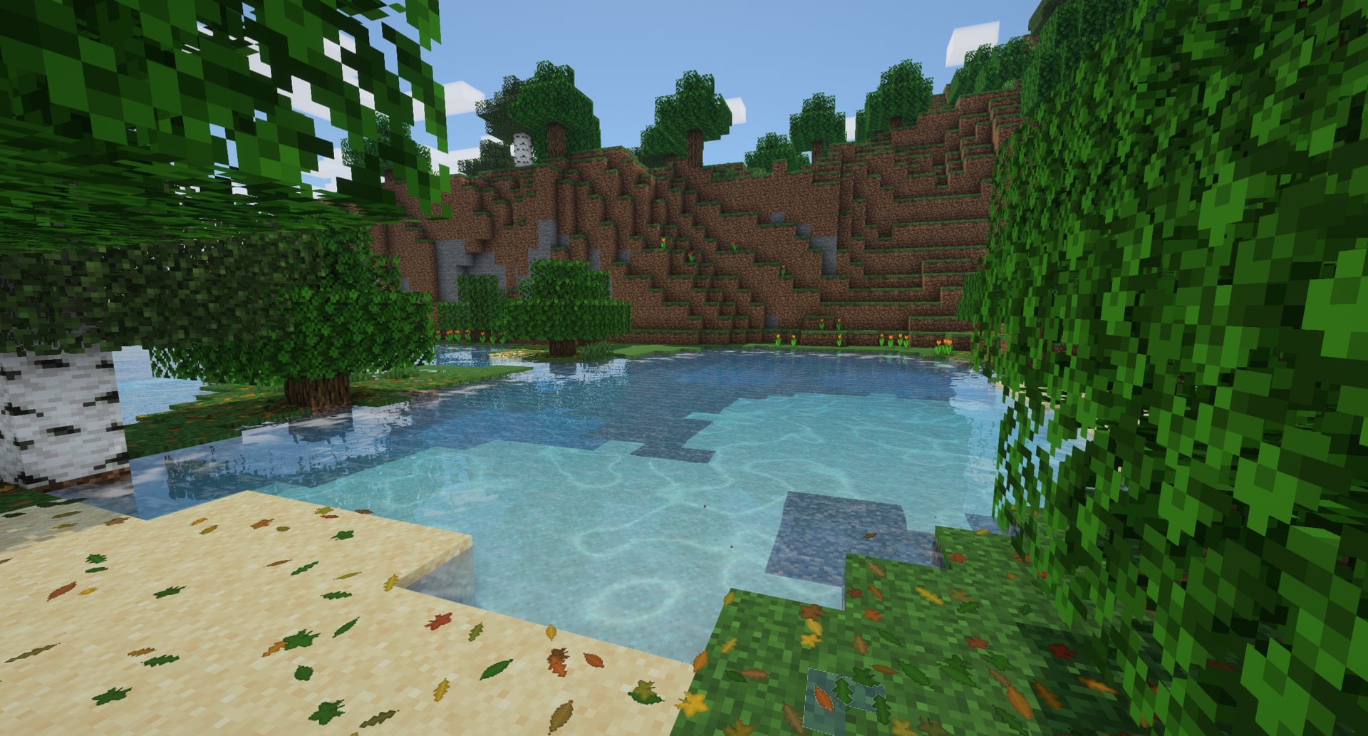 Caustics in a forest pond with Rustling Leaves