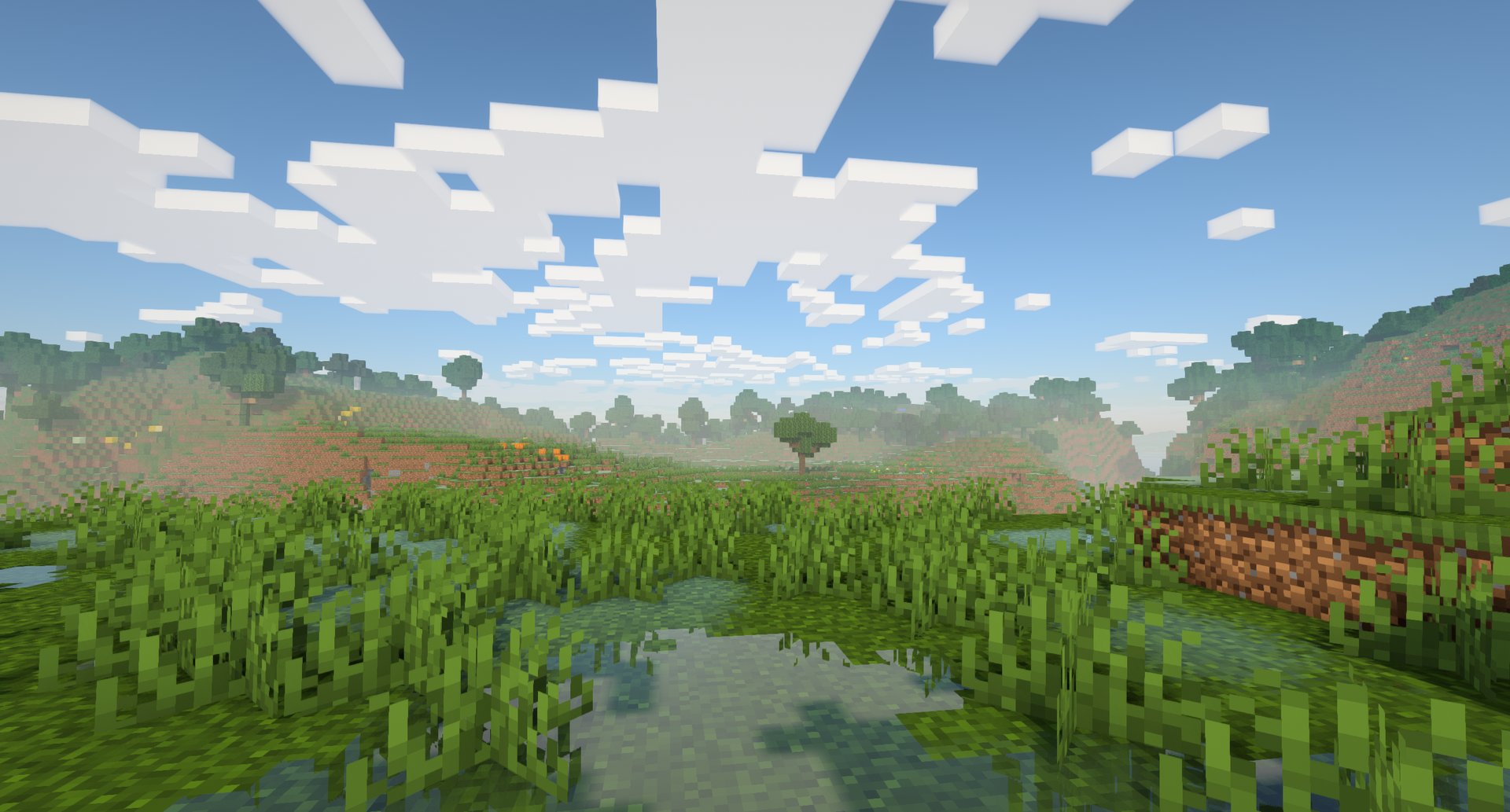 A wet meadow on a clear morning