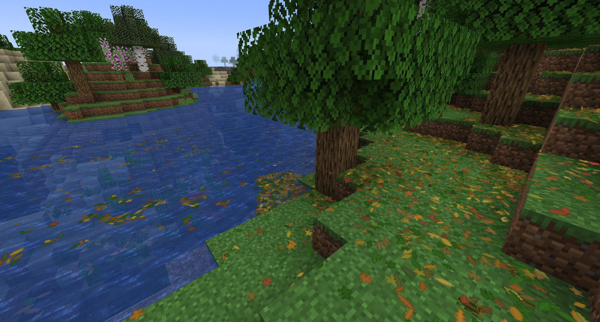 Leaf litter under the trees and leaves drifting on the water
