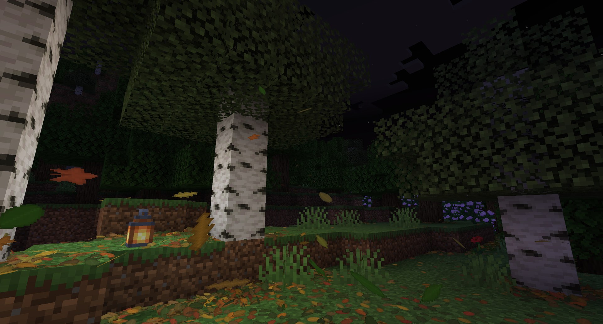 Falling leaves in a birch forest at night