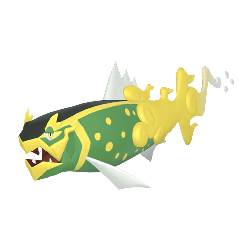 Basculegion Shiny