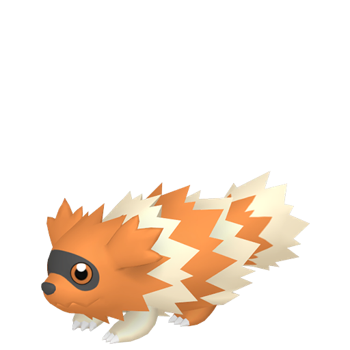 Zigzagoon Shiny